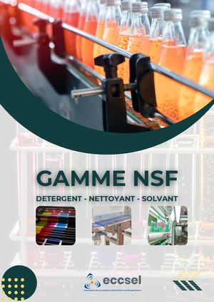 Brochure Nsf Eccsel Mai 2026