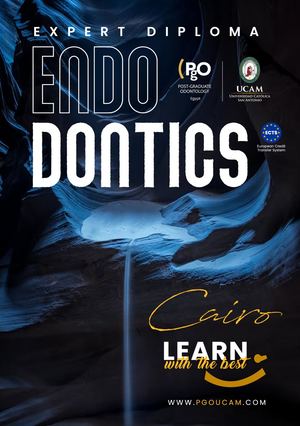 Endo Egypt