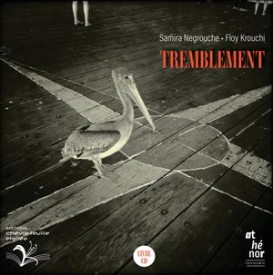 Les Bonnes Pages De Tremblement Samira Negrouche