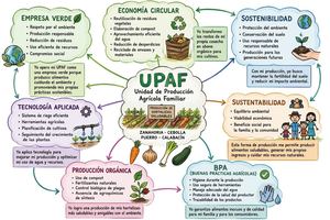Mapa Mental Upaf Jesi