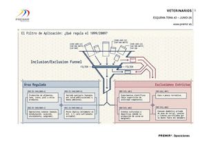 Tema 43 Esquemas