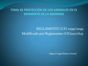 Tema 43