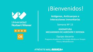 T13 Antígenos, Anticuerpos