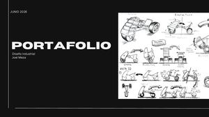 Portafolio Profesional Joel Meza