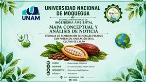 Técnicas De Remediación De Metales Pesados Con Potencial Aplicación En El Cultivo De Cacao