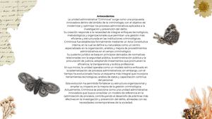 “Criminova”