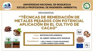 Mapa Conceptual De Remediación de articulo asignado
