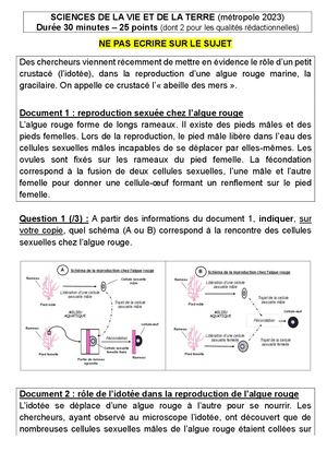 2023 Métropole Brevet Reproduction Sujet