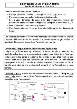 2023 Métropole Brevet Reproduction Correction