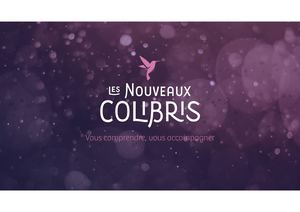 Savès Présentation