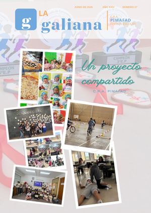 Número 27 - Junio 2026