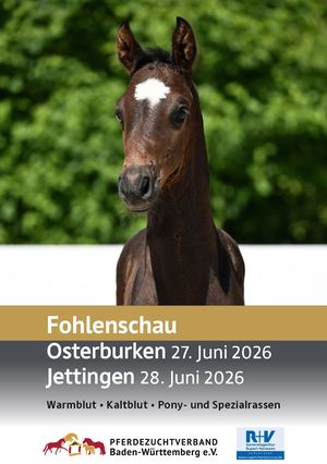 Fohlenschau Osterburken und Jettingen 2026