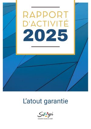 Rapport d'activité SIAGI 2025