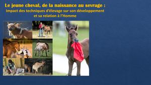 Education Du Poulain