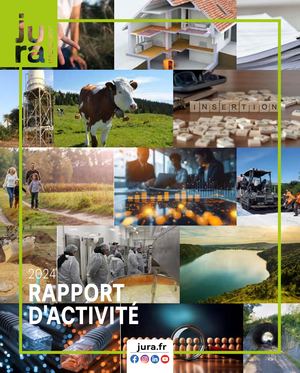 24 RAPPORT D ACTIVITE BD