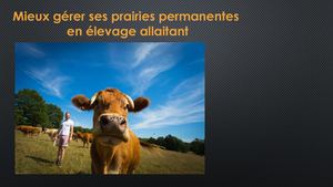 Mieux Gérer Ses Prairies En éLevage Allaitant