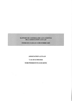 Rapport Com Aux Cptes 2025
