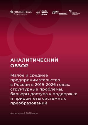 АНАЛИТИЧЕСКИЙ ОБЗОР МСП