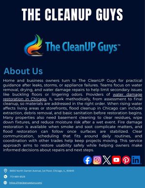The Clean Up Guys