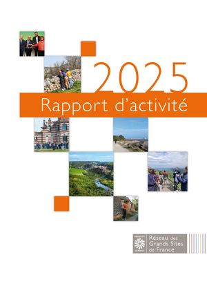 Rapport d'activité RGSF 2025
