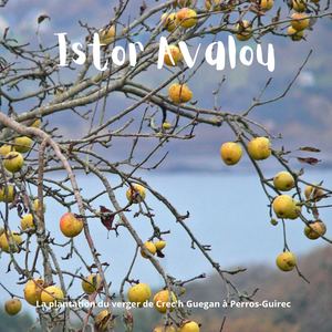 Istor Avalou