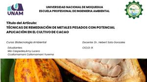 MAPA CONCEPTUAL DE REMOCION DE METALES PESADOS PARA CULTIVO DE CACAO