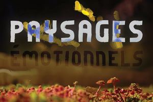 Paysages émotionnels