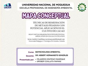 mapa conceptual_biotecnologia_cacao_metales_pesados