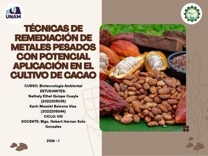 Mapa Conceptual Biotecnologia Ambiental