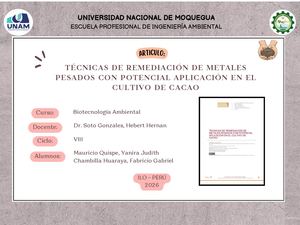 TÉCNICAS DE REMEDIACIÓN DE METALES PESADOS CON POTENCIAL APLICACIÓN EN EL CULTIVO DE CACAO