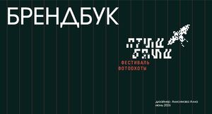 брендбук ПТИЦ БЛИЦ