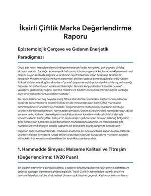 İksirli Çiftlik Marka Değerlendirme Raporu