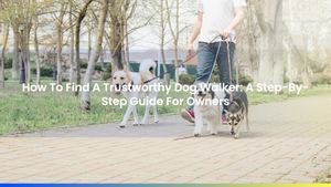 How To Find A Trustworthy Dog Walker: A Step-By-Step Guide For Owners
