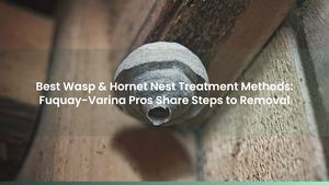 Best Wasp & Hornet Nest Treatment Methods: Fuquay-Varina Pros Share Steps to Removal