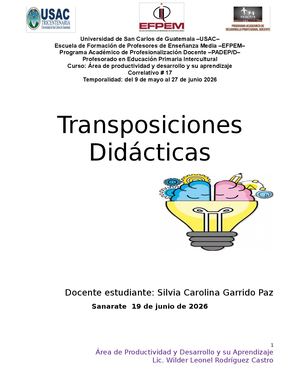 Transposición Didáctica Productividad Y Desarrollo (1)