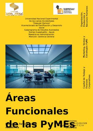 ÁReas Funcionales De Las Py Mes Módulo Ii