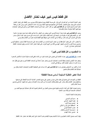 اكل قطط كيس كبير الدليل الشامل لاختيار الطعام المناسب وتوفير تغذية متكاملة لقطتك