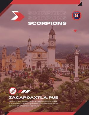 Revista ScorpionsRT