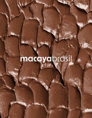 Brandbook Macaya Brasil