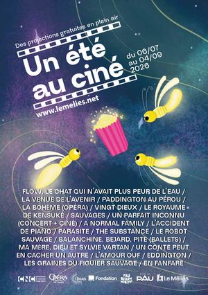 Un Ete Au Cine 2026 - Pau