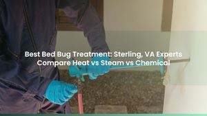 Best Bed Bug Treatment: Sterling, VA Experts Compare Heat vs Steam vs Chemical
