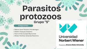 Semana 13"parasitos Protozoos"
