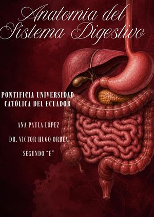 Anatomía Del Sistema Digestivo