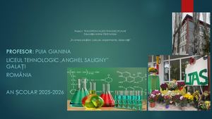 Puia Gianina ÎN Lumea Soluțiilor, Calcule Experimente, Observații