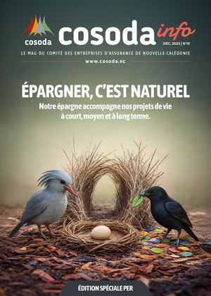 Cosoda Info N15 16 Pages