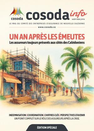 Cosoda Info N14 12 Pages