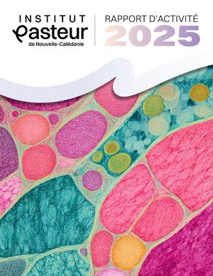 Ipnc Rapport D'activité 2025