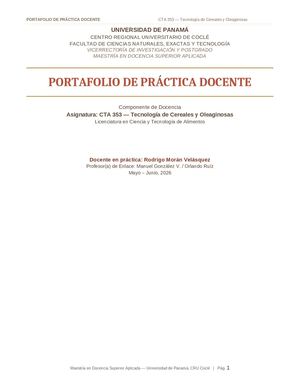 Portafolio Practica Docente