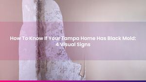 How To Know If Your Tampa Home Has Black Mold: 4 Visual Signs