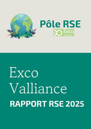 Externe Rapport Rse